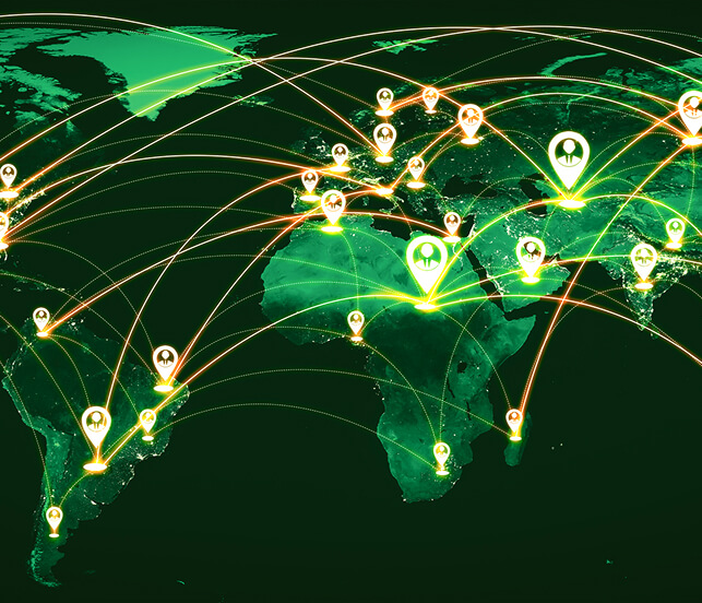 znajdź dystrybutora